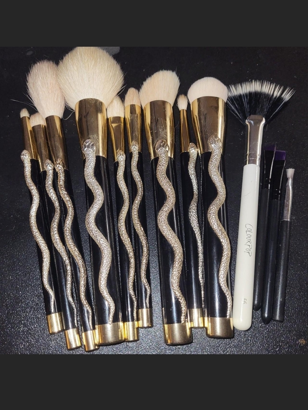 Sonia Kashuk Serpent Makeup Brush Set